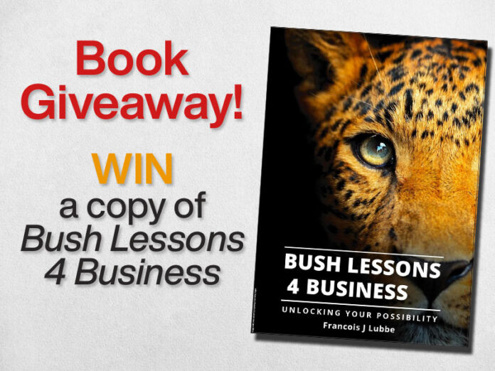 Bush Lessons 4 Business book cover