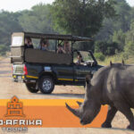 Kruger-Park-Safari-Tours